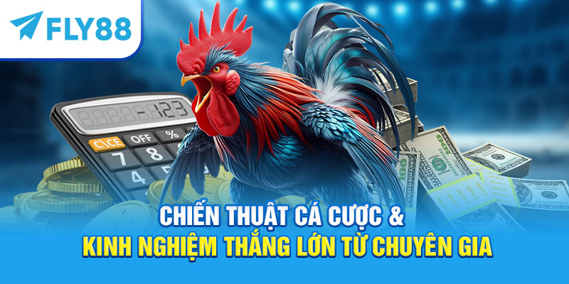 Chiến thuật cá cược