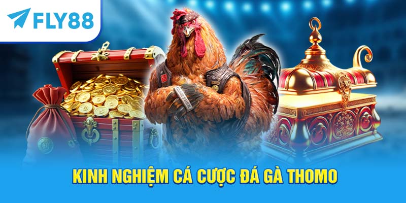 Kinh nghiệm cá cược đá gà Thomo
